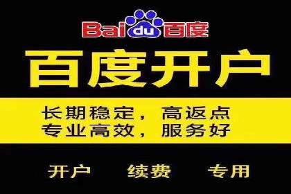 百度竞价包年推广策略——某行业巨头的成功经验